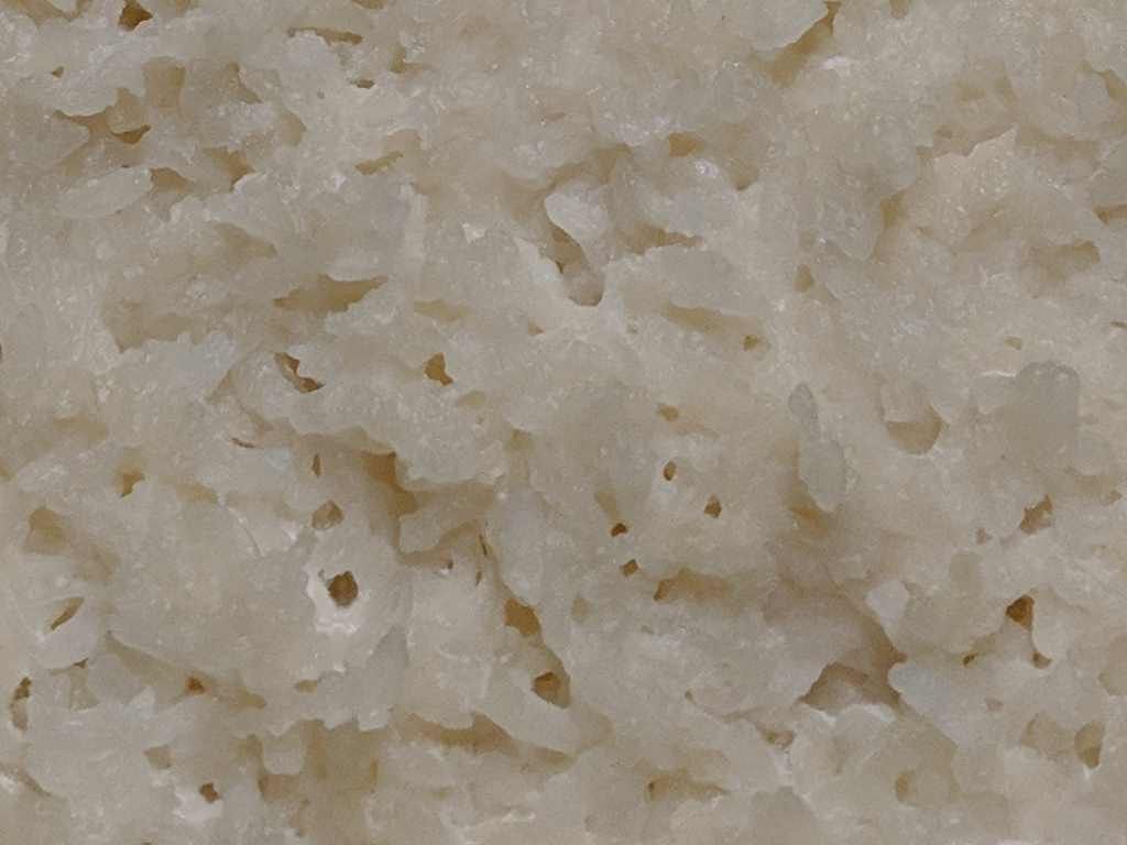 Koji